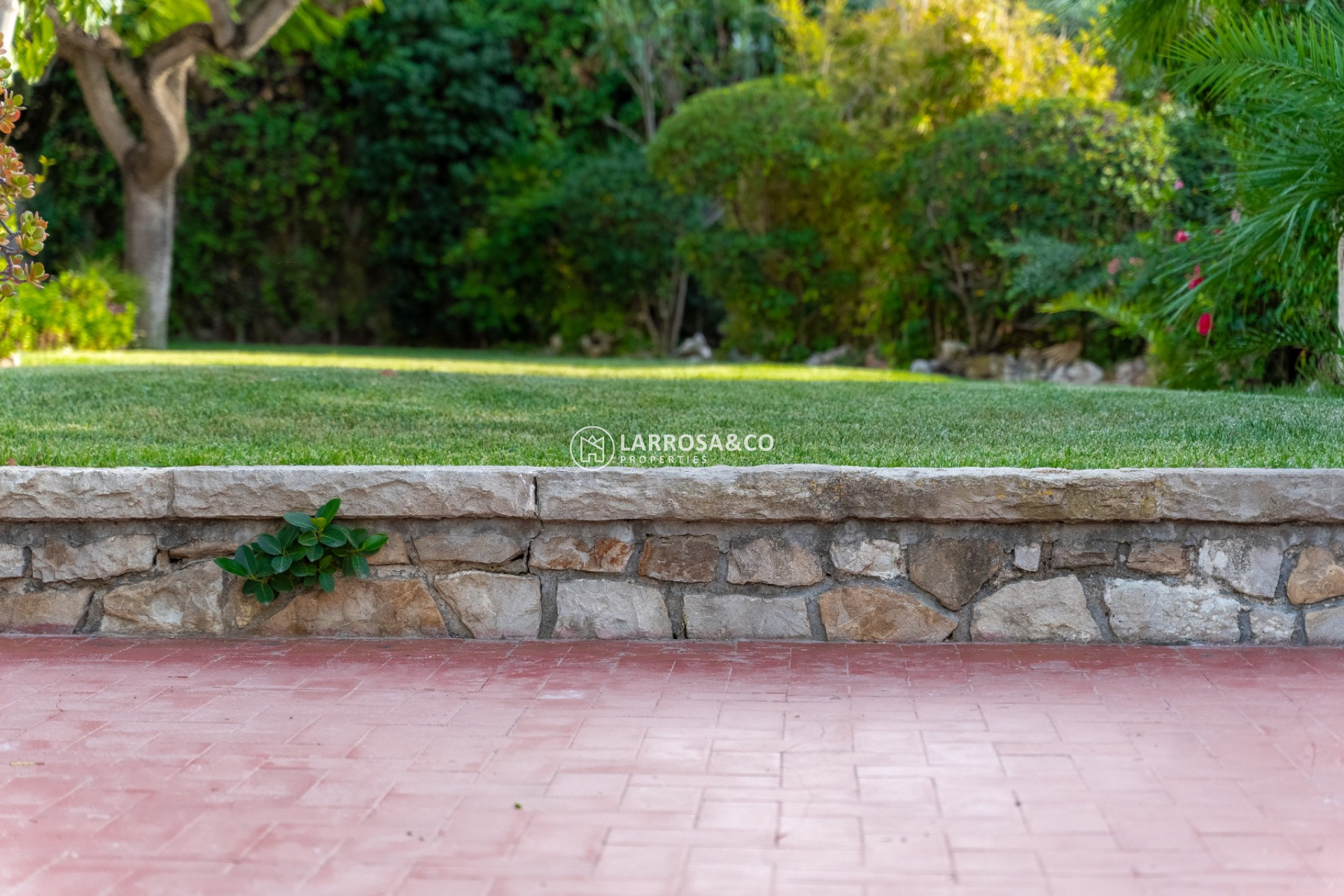 Resale - Detached House/Villa - Alicante - Costa Blanca