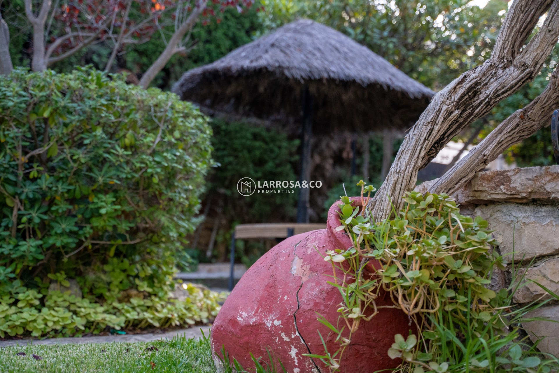 Resale - Detached House/Villa - Alicante - Costa Blanca