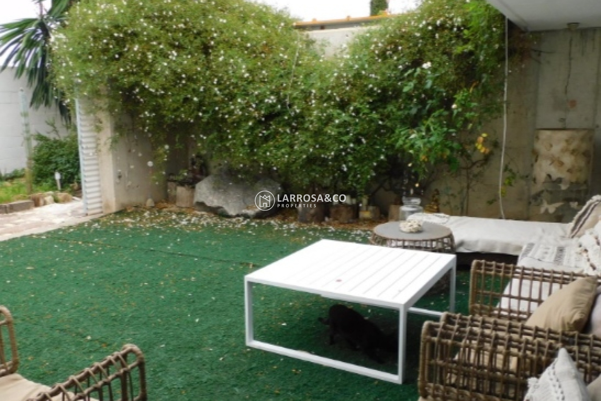 Resale - Detached House/Villa - Alicante - Costa Blanca