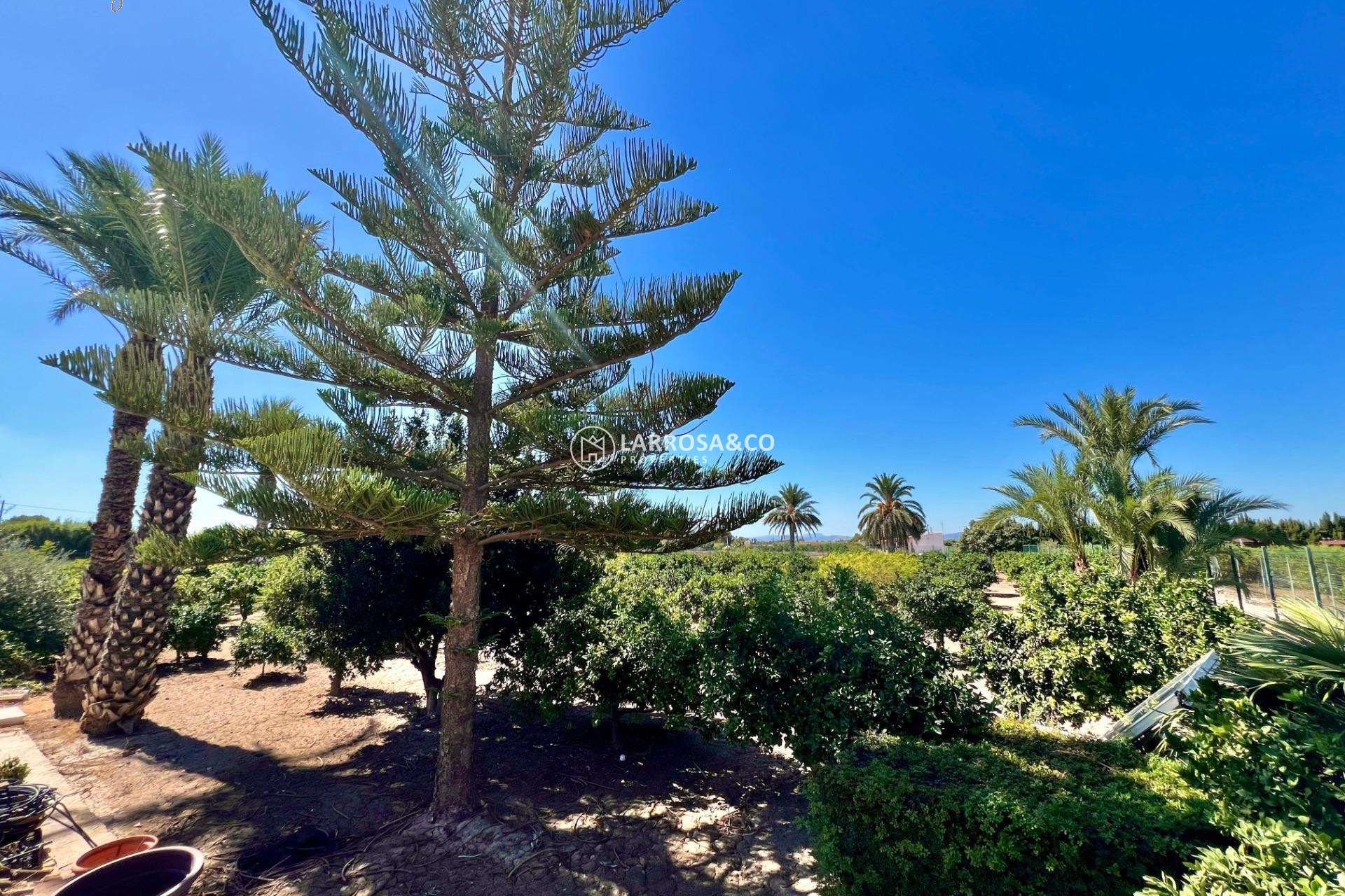 Resale - Detached House/Villa - Almoradí - Comunidad valenciana