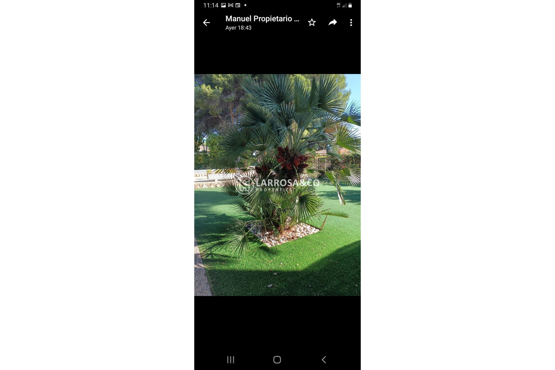 Resale - Detached House/Villa - Campoamor - Costa Blanca