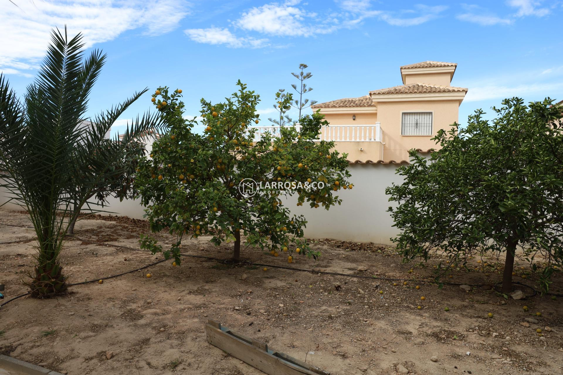 Resale - Detached House/Villa - Ciudad Quesada - Costa blanca sur