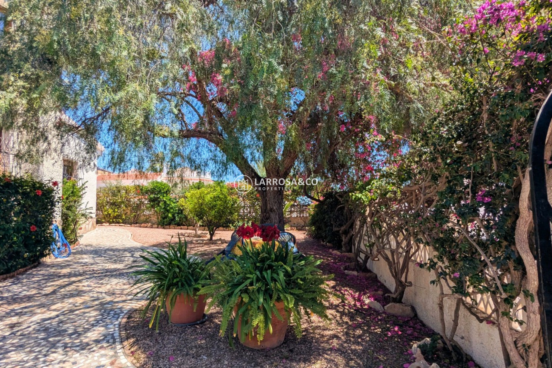 Resale - Detached House/Villa - Ciudad Quesada - Costa Blanca