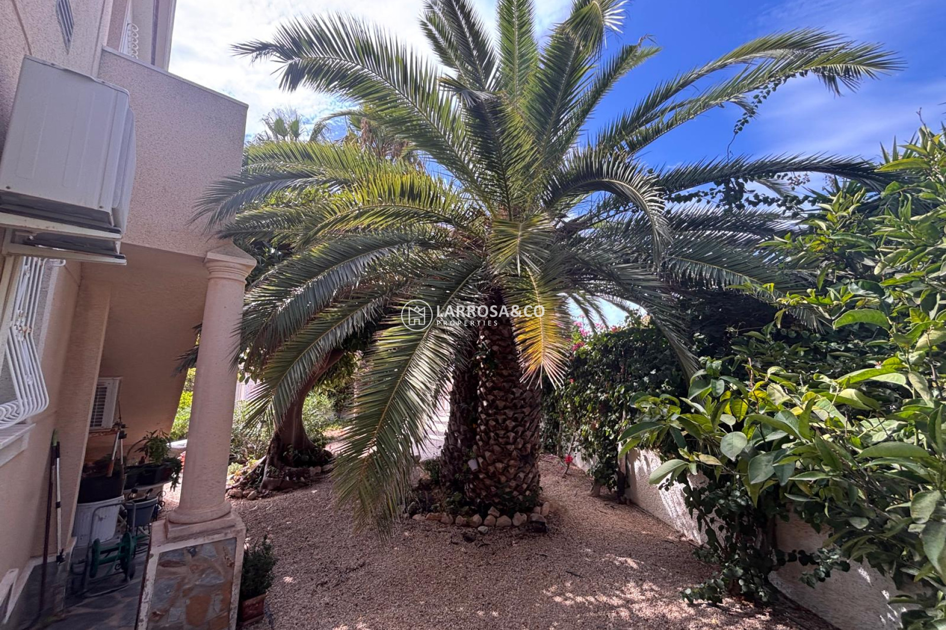 Resale - Detached House/Villa - Ciudad Quesada - Costa Blanca