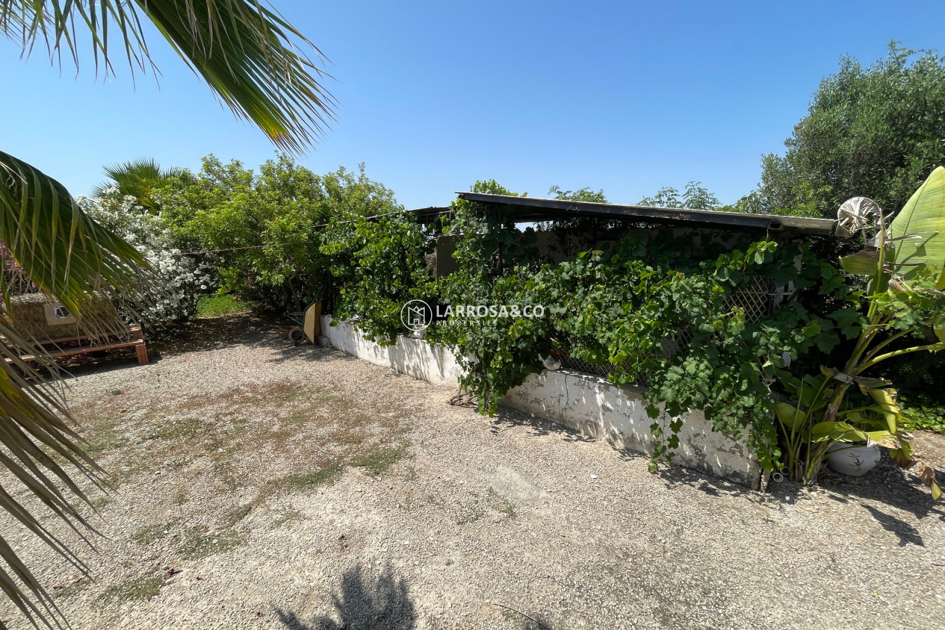 Resale - Detached House/Villa - Daya Nueva - Costa Blanca