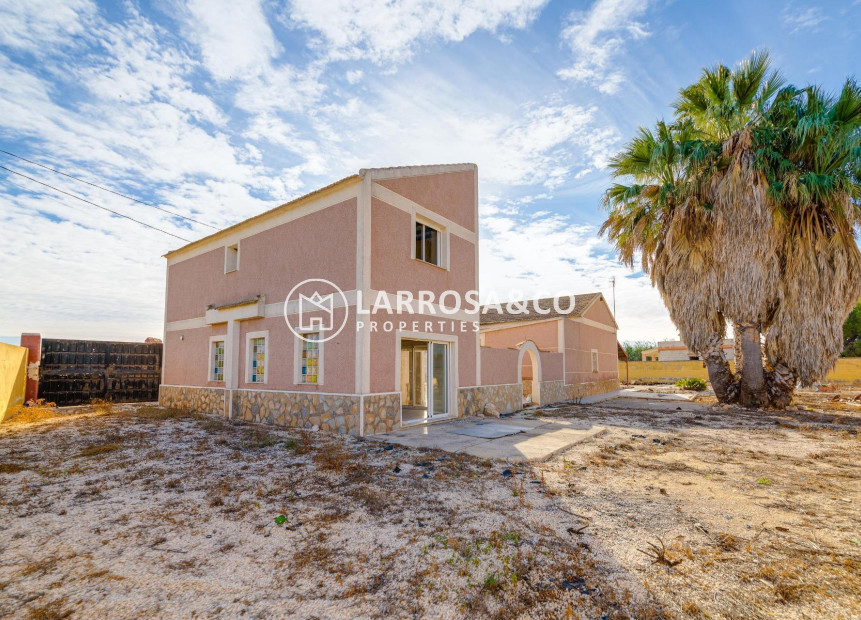 Resale - Detached House/Villa - Daya Vieja - Sin Zona