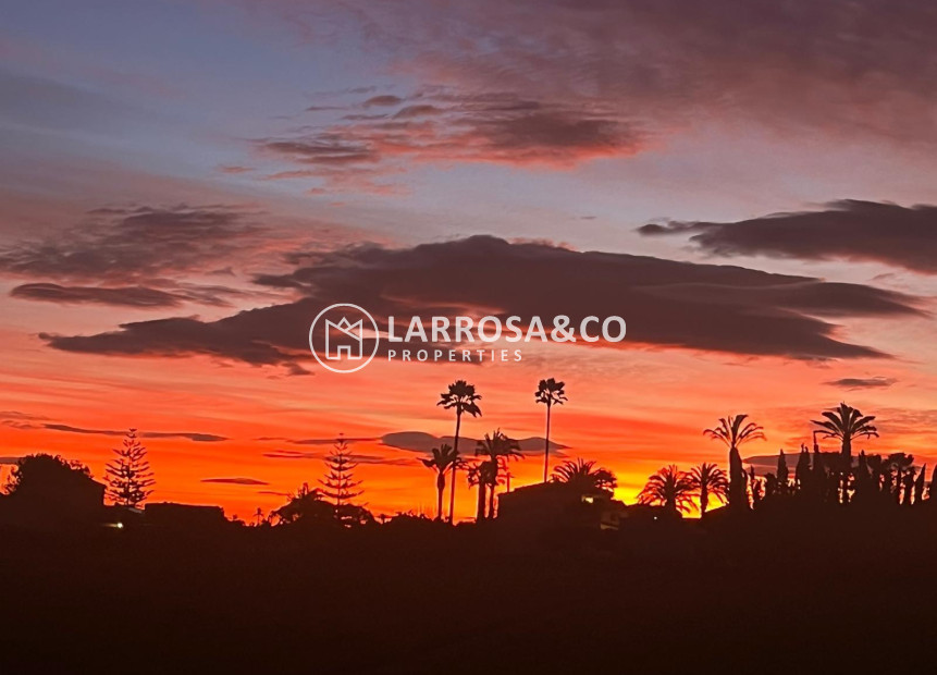 Resale - Detached House/Villa - Dolores - Comunidad valenciana