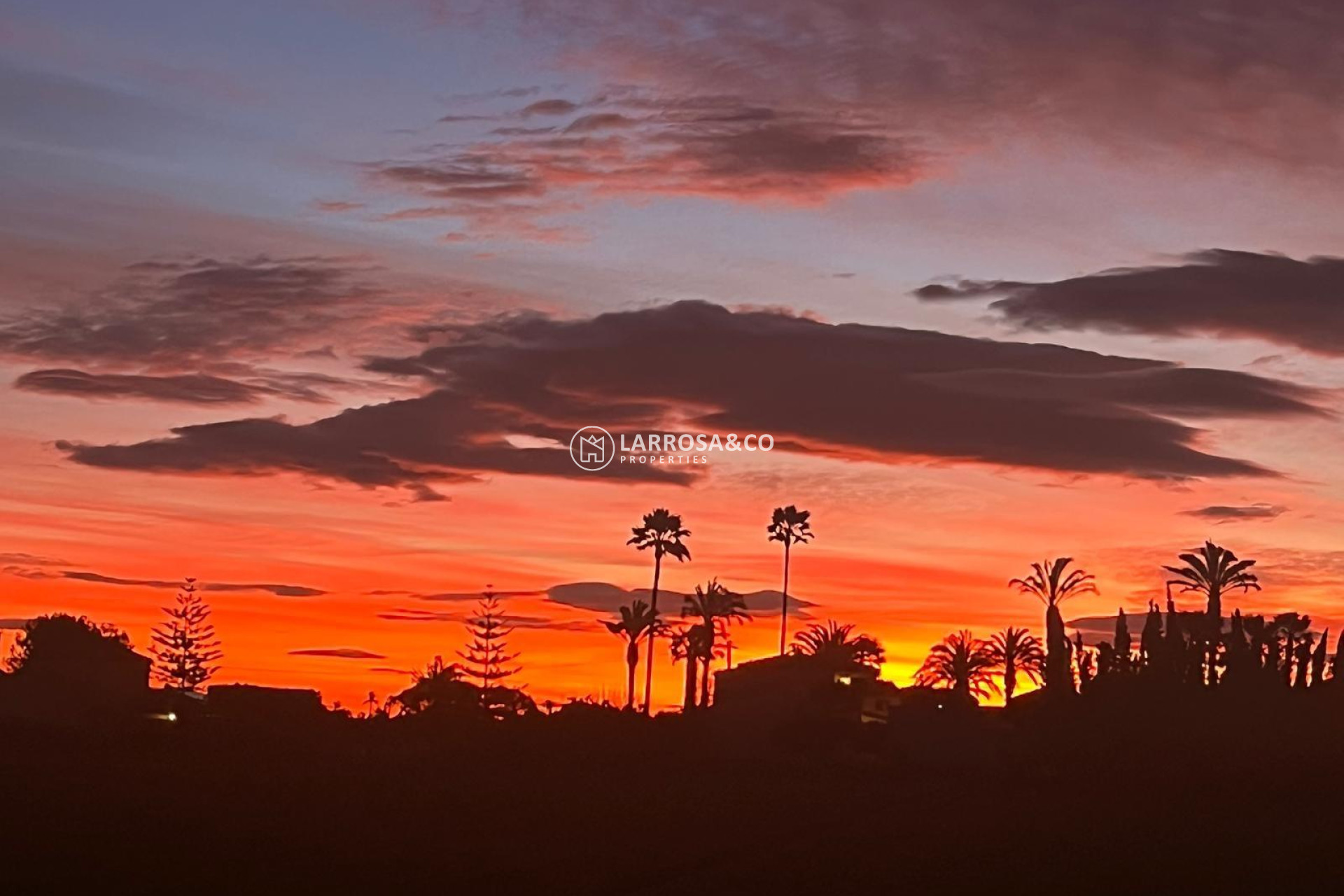 Resale - Detached House/Villa - Dolores - Comunidad valenciana