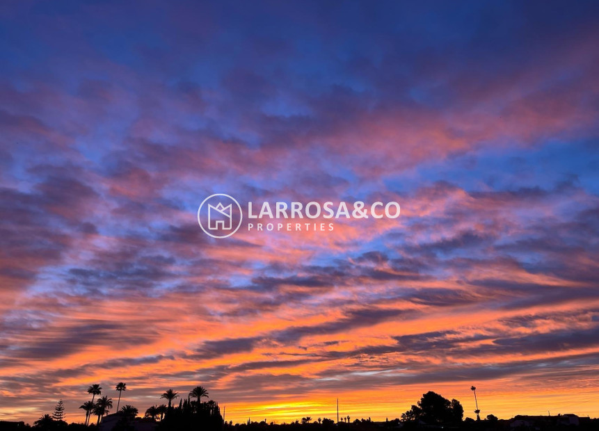 Resale - Detached House/Villa - Dolores - Comunidad valenciana