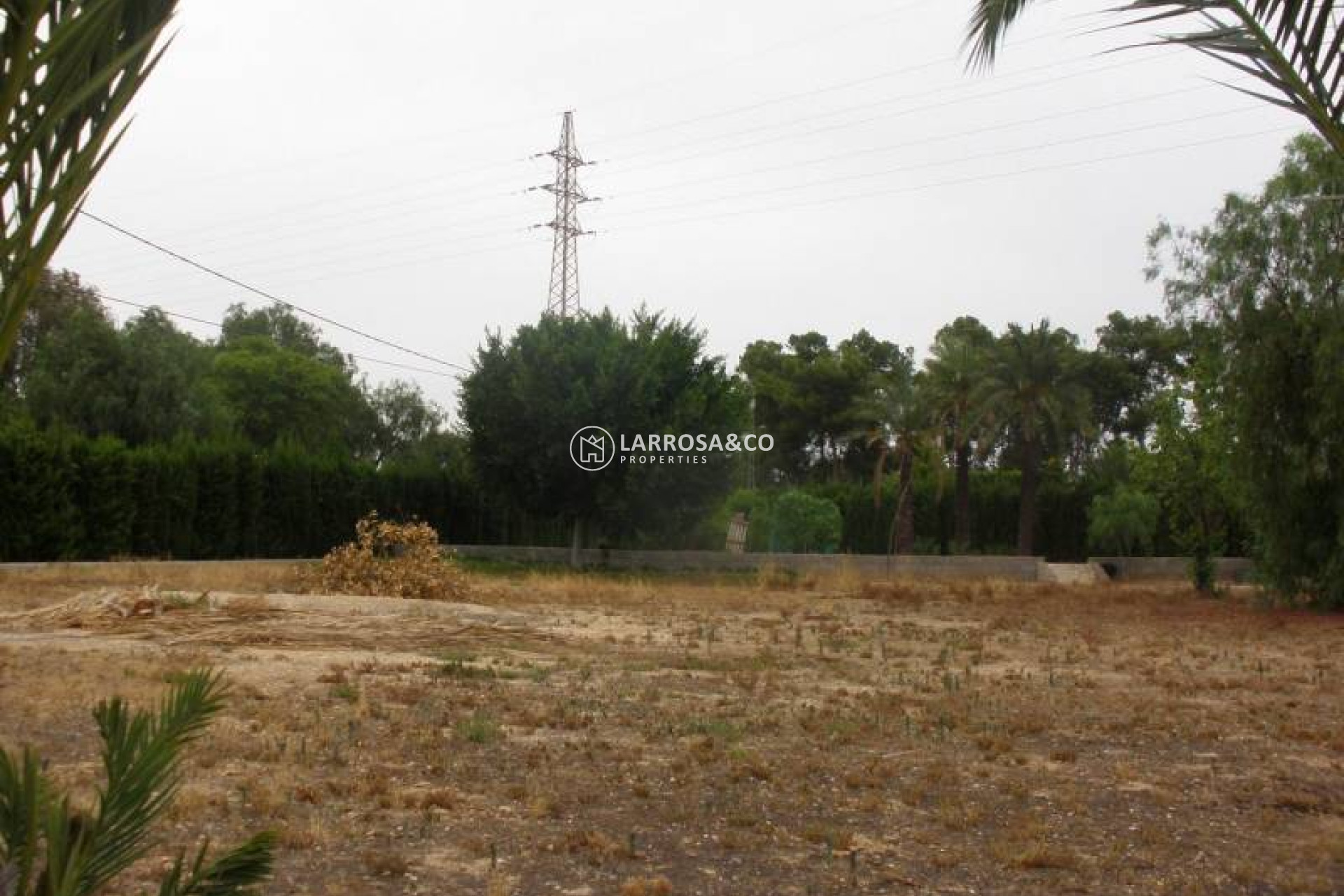 Resale - Detached House/Villa - Elche - Corte Ingles