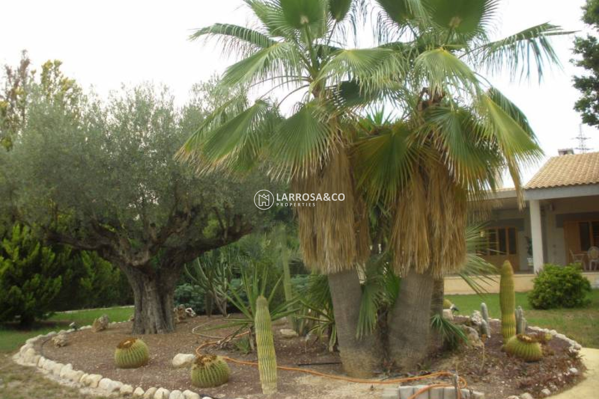 Resale - Detached House/Villa - Elche - Corte Ingles