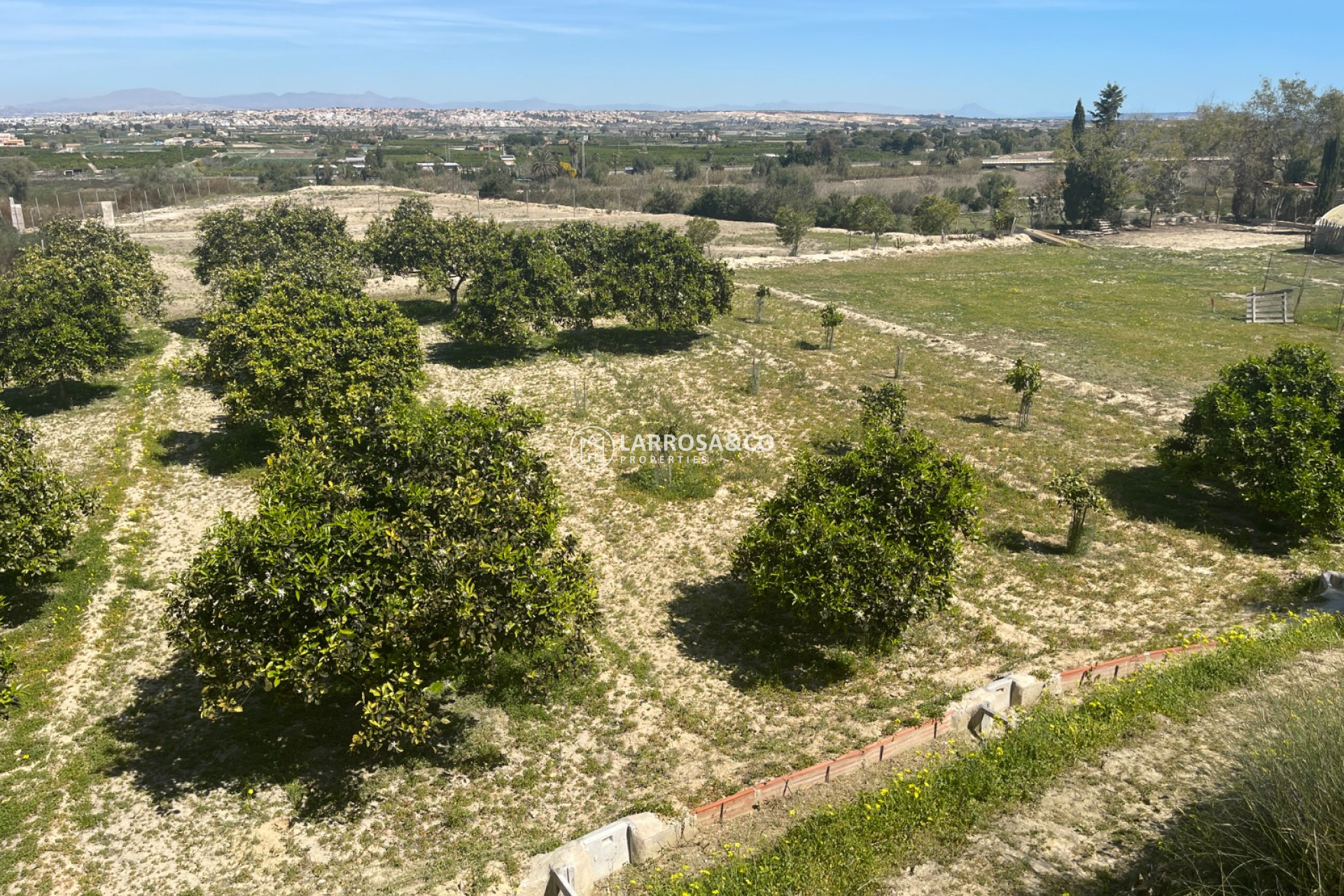 Resale - Detached House/Villa - Guardamar del Segura - Costa Blanca