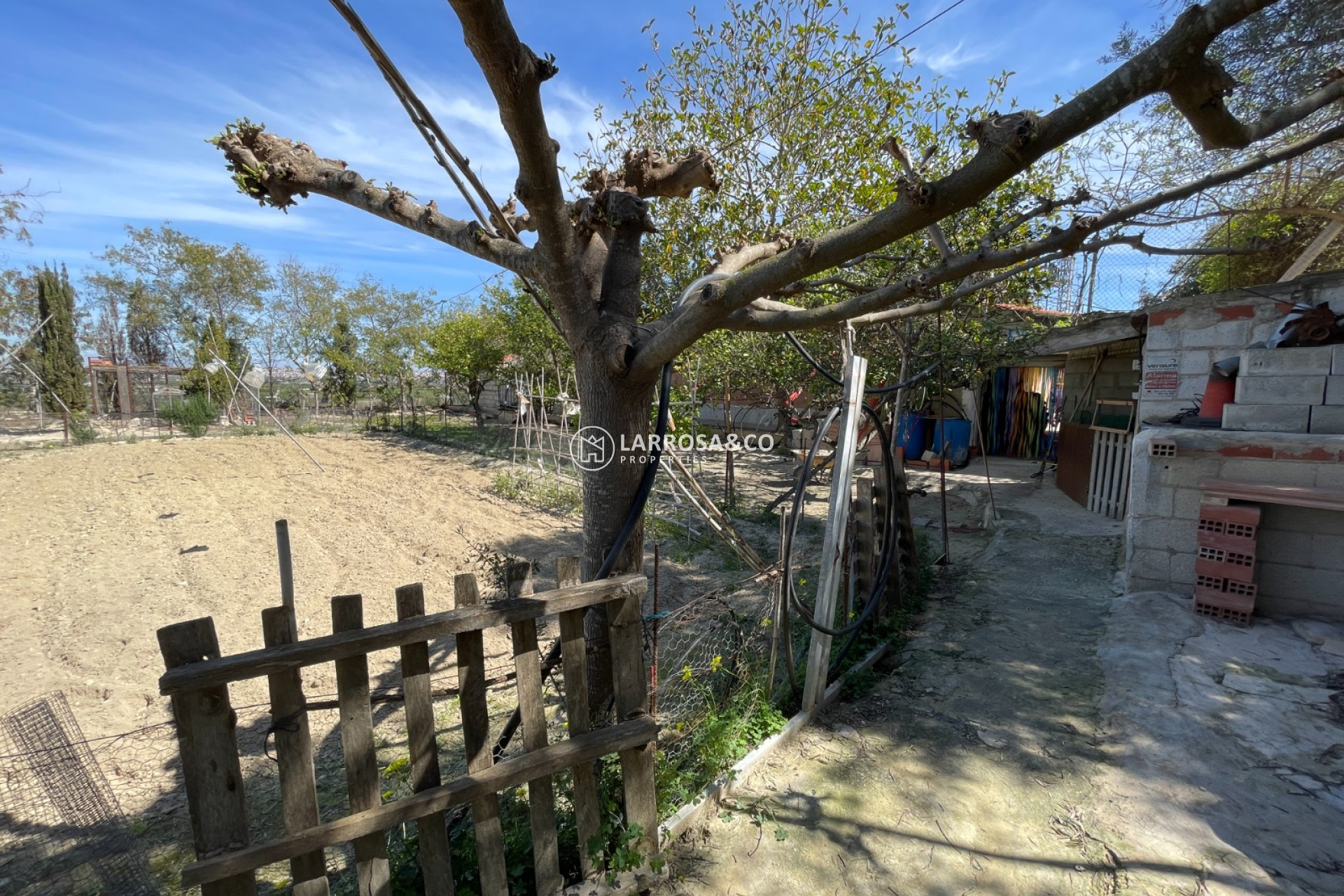 Resale - Detached House/Villa - Guardamar del Segura - Costa Blanca