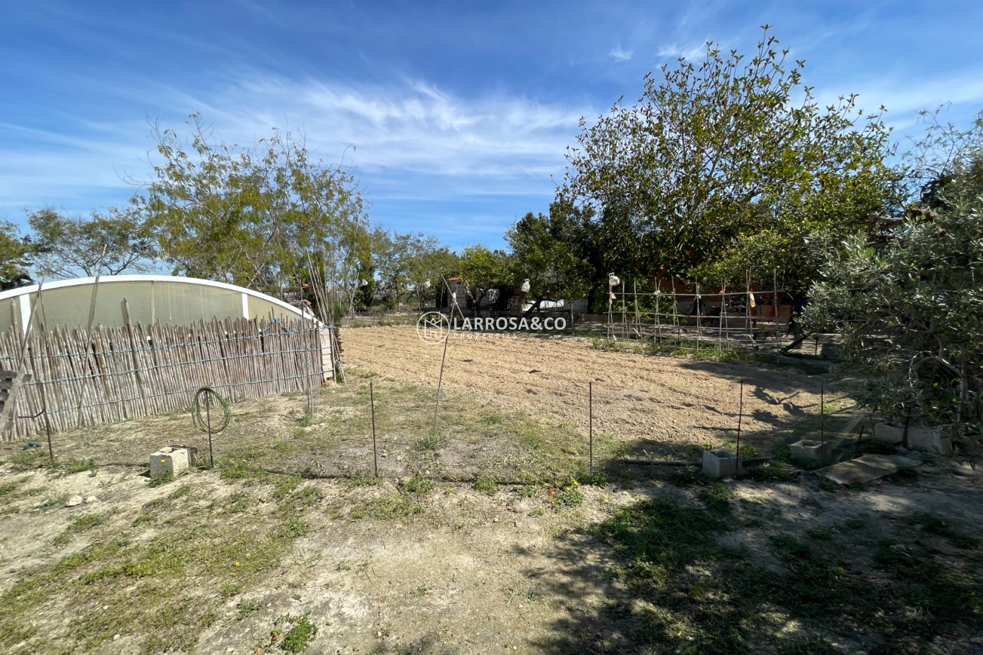 Resale - Detached House/Villa - Guardamar del Segura - Costa Blanca