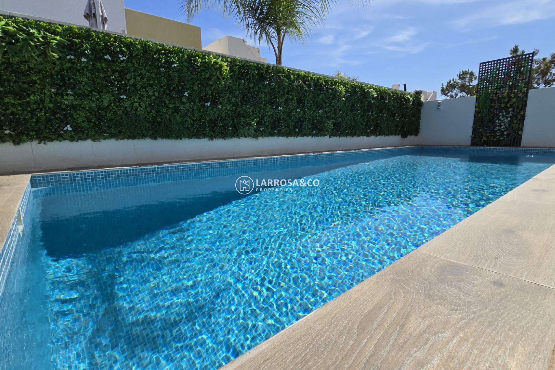 Resale - Detached House/Villa - Los Montesinos - Costa Blanca