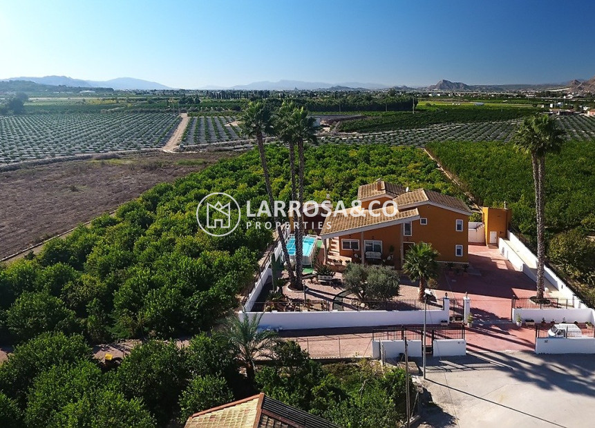 Resale - Detached House/Villa - Orihuela - Orihuela Ciudad