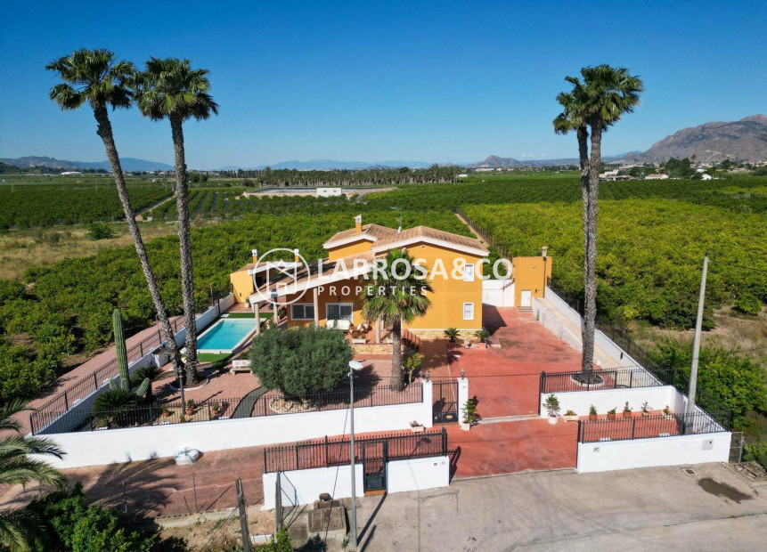 Resale - Detached House/Villa - Orihuela - Orihuela Ciudad
