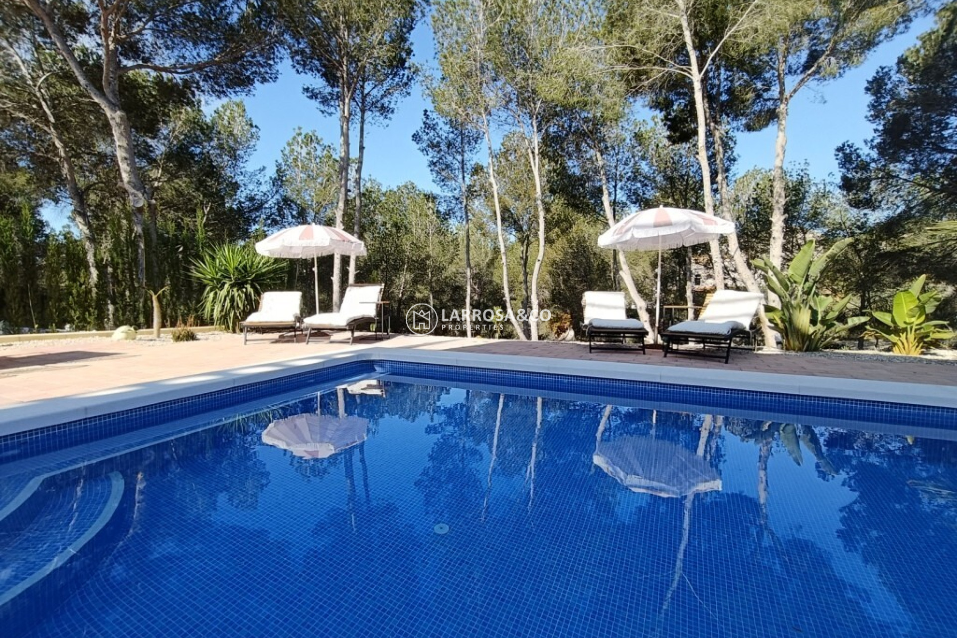 Resale - Detached House/Villa - Pilar de la Horadada - Pinar de Campoverde