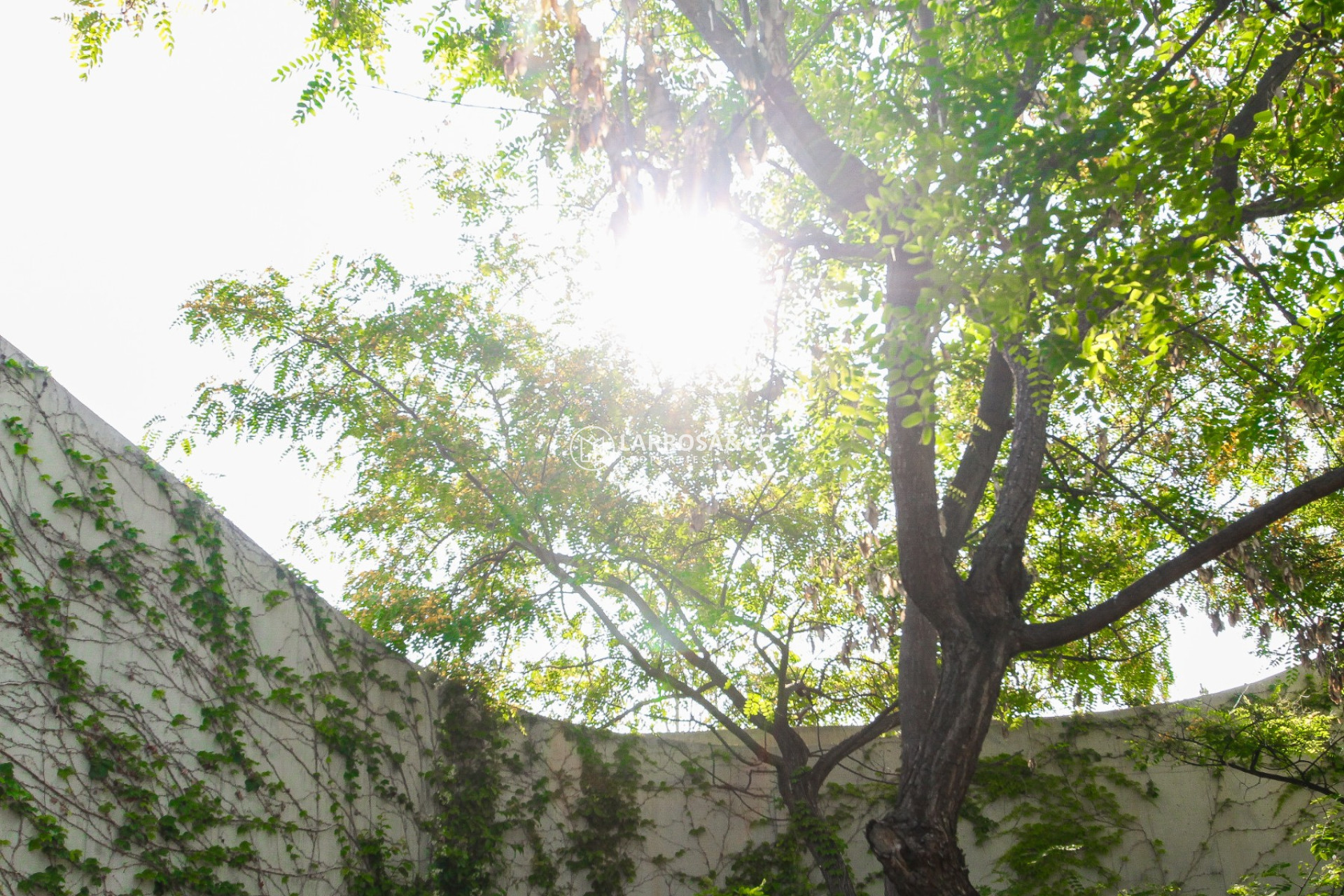 Resale - Detached House/Villa - San Vicente del Raspeig - Inland