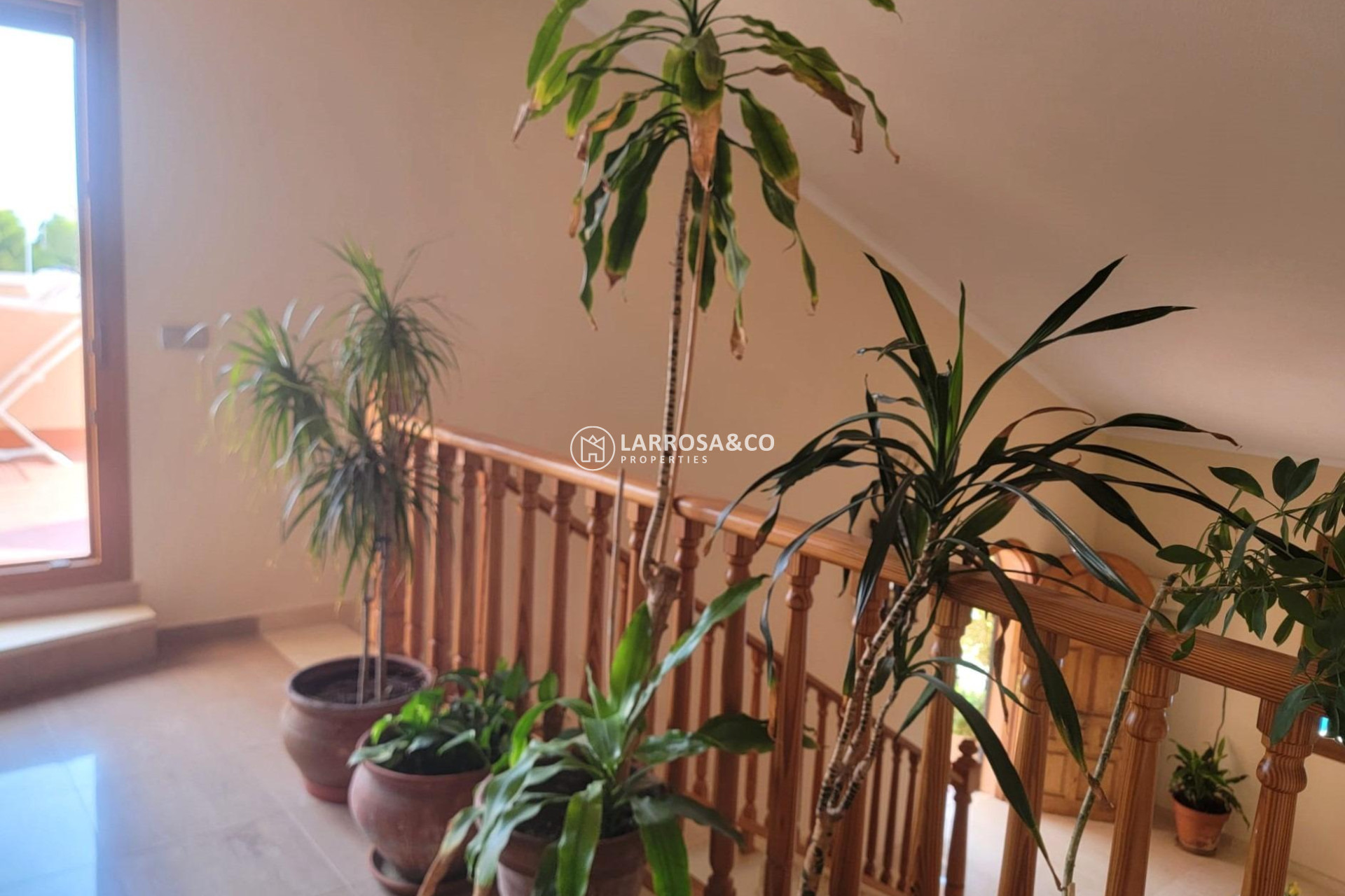 Resale - Detached House/Villa - Torrevieja - Aguas Nuevas