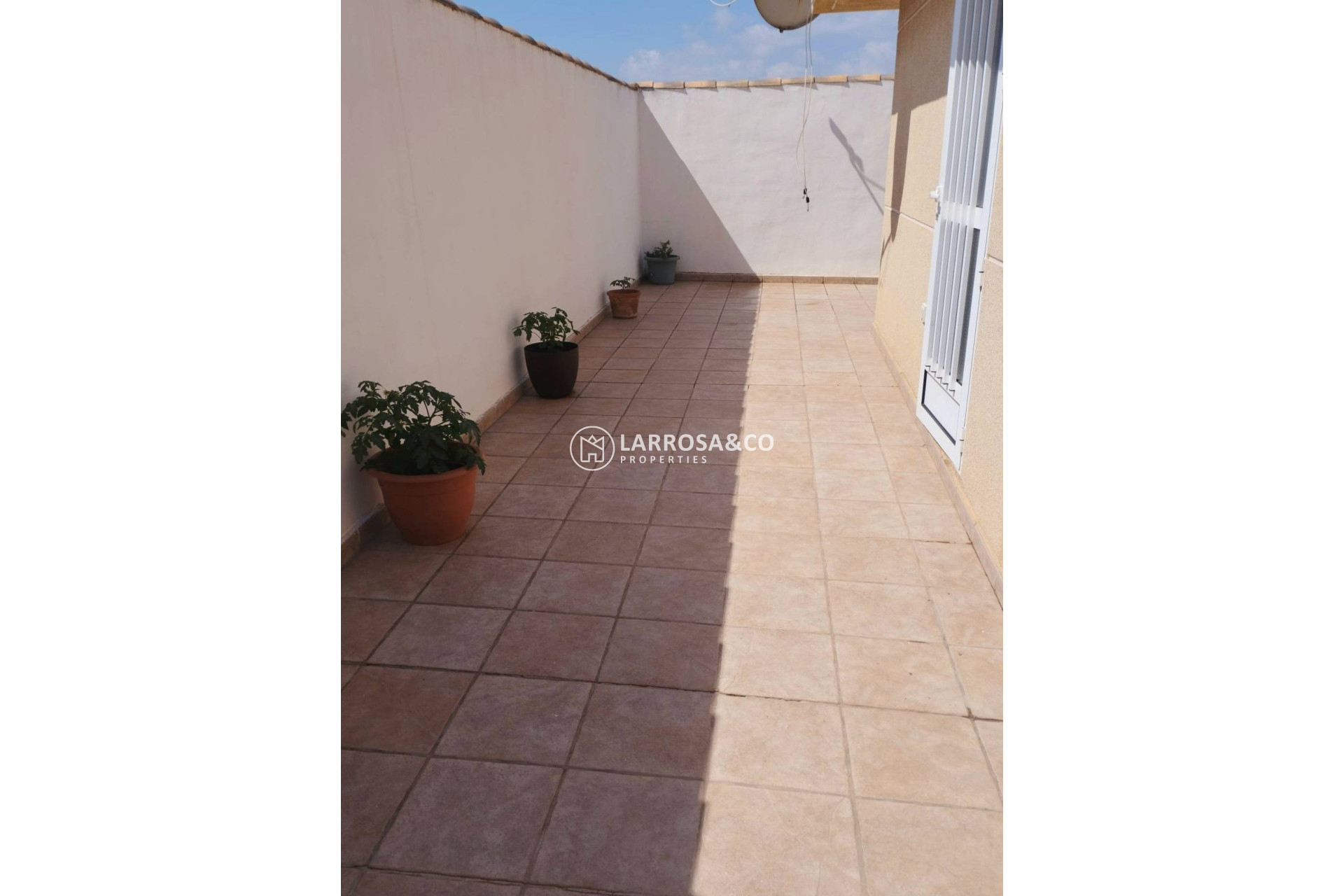 Resale - Detached House/Villa - Torrevieja - La Siesta - El Salado - Torreta