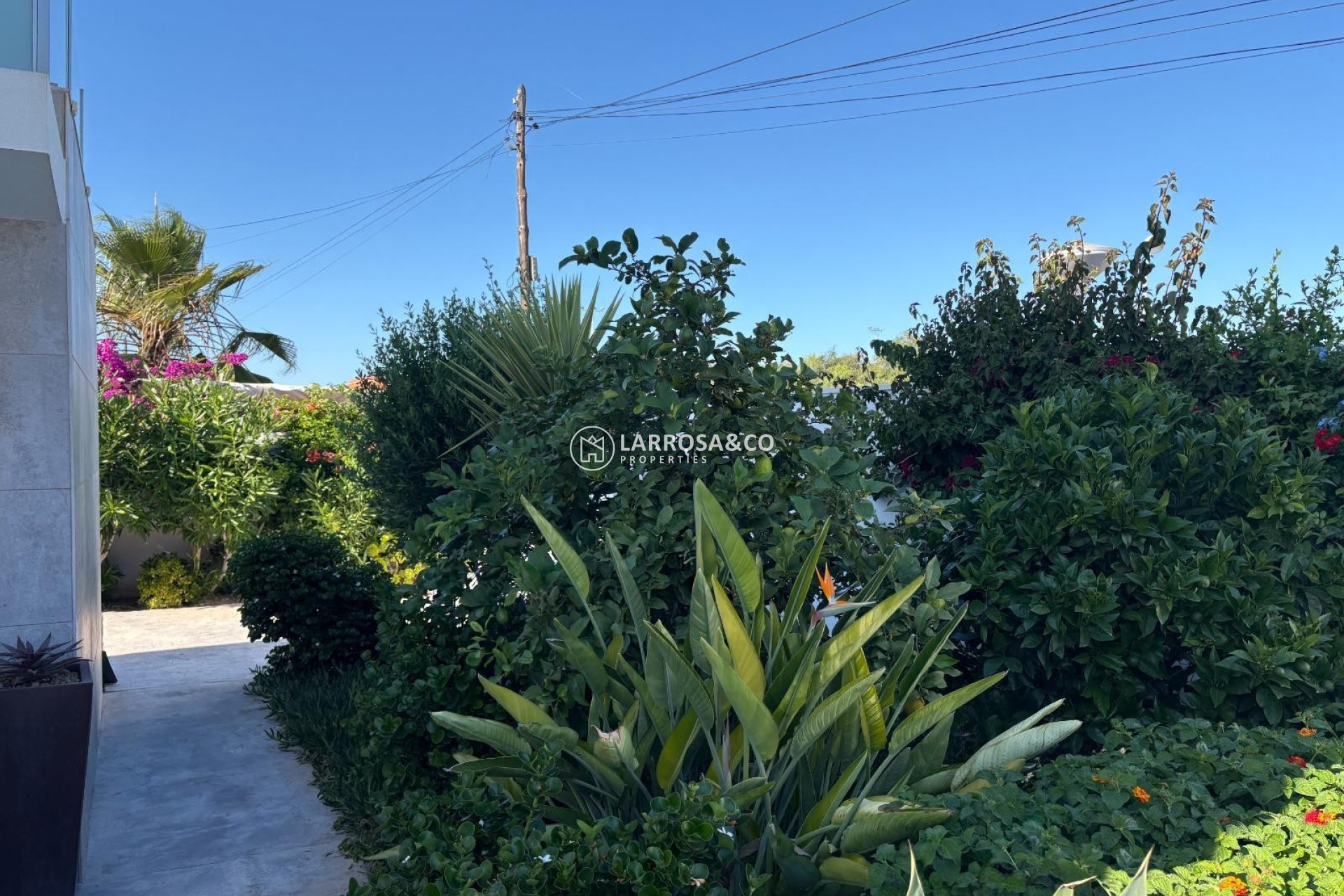 Resale - Detached House/Villa - Torrevieja - La Siesta - El Salado -  Torreta