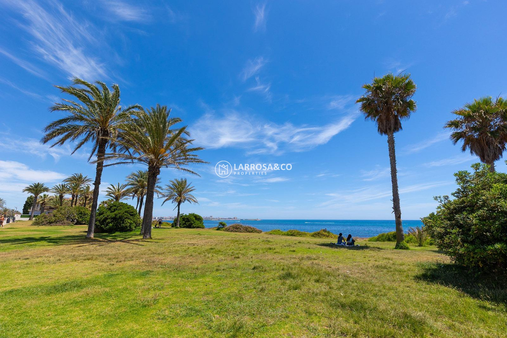 Resale - Detached House/Villa - Torrevieja - La veleta