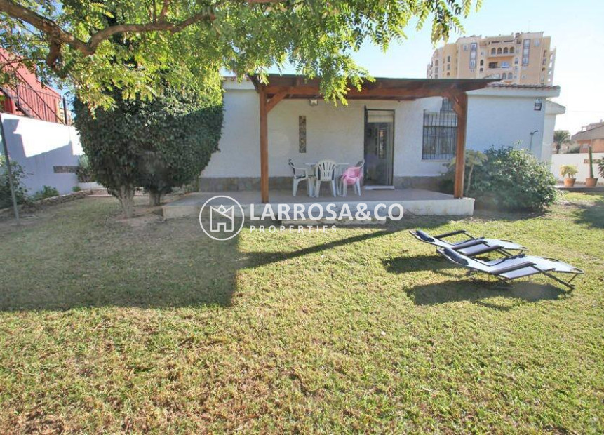 Resale - Detached House/Villa - Torrevieja - Los Frutales