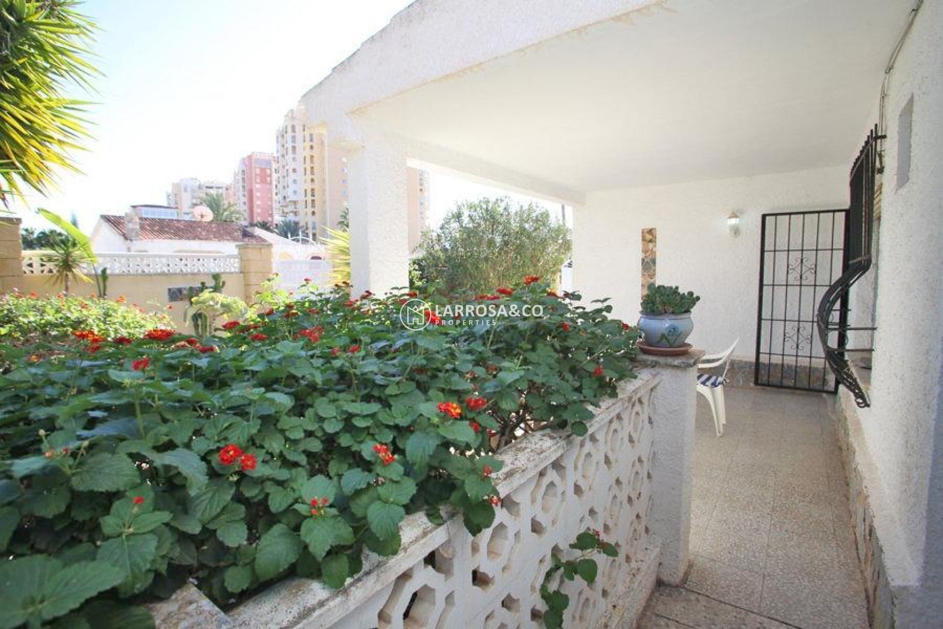 Resale - Detached House/Villa - Torrevieja - Los Frutales