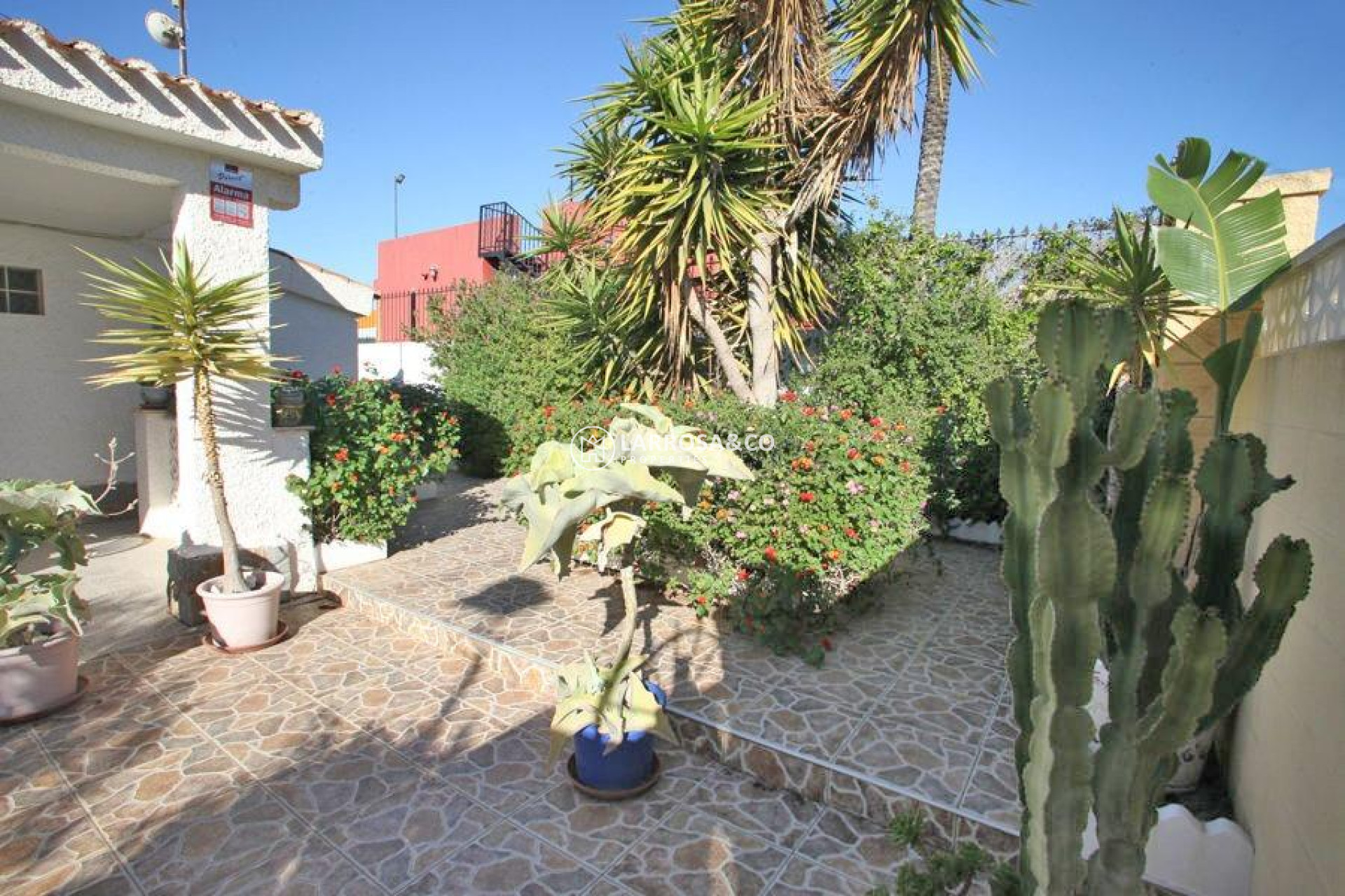 Resale - Detached House/Villa - Torrevieja - Los Frutales
