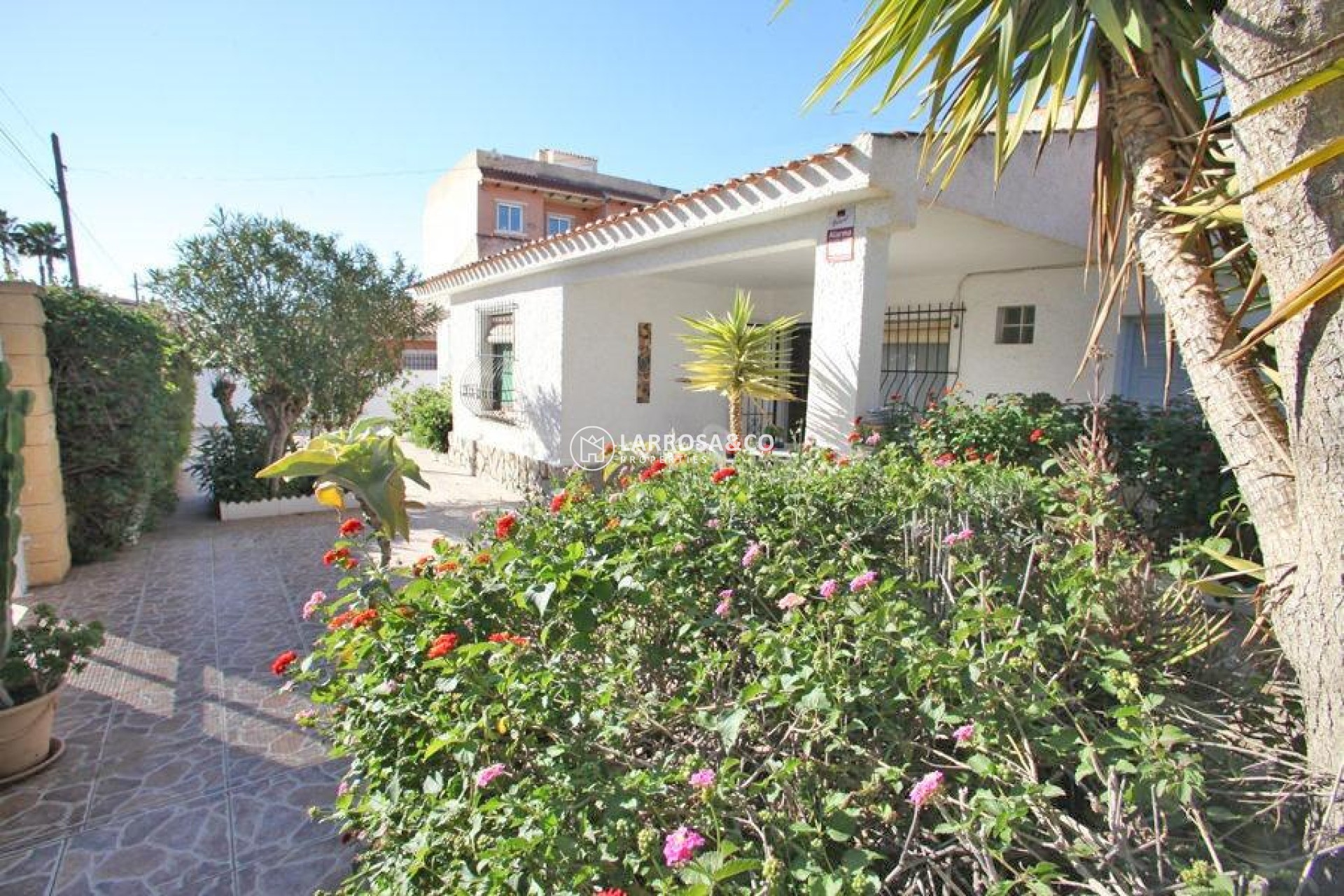 Resale - Detached House/Villa - Torrevieja - Los Frutales