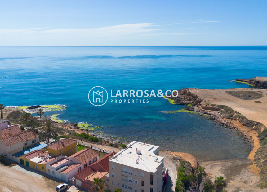 Resale - Detached House/Villa - Torrevieja - Rosaleda