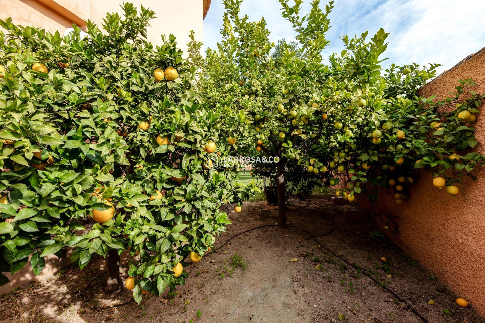 Resale - Detached House/Villa - Torrevieja - San luis