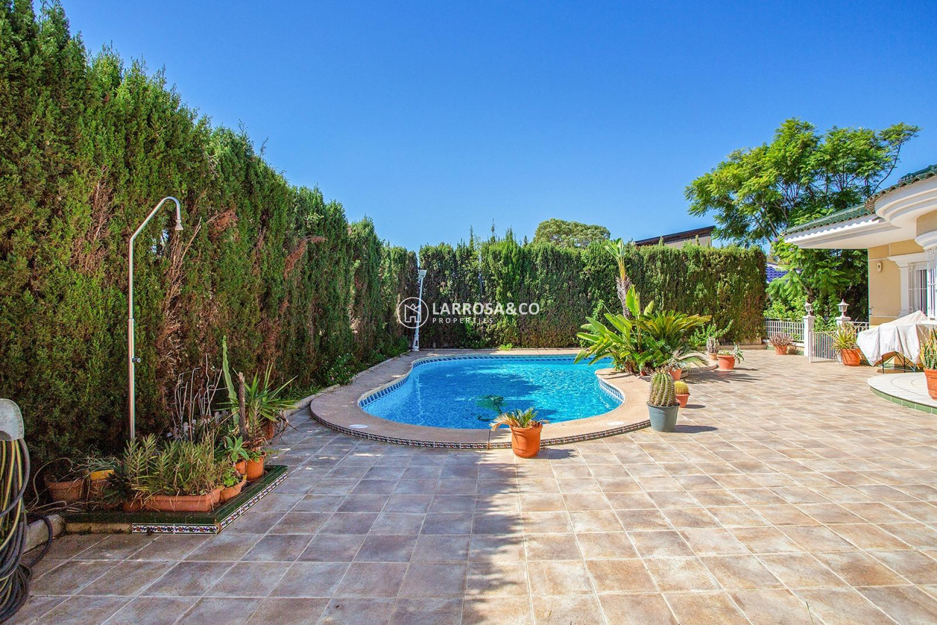 Resale - Detached House/Villa - Torrevieja - Torreta florida