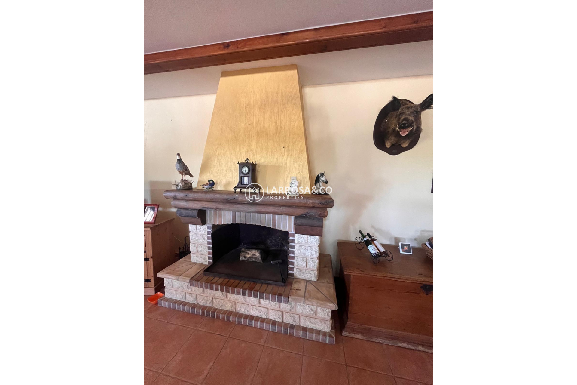 Resale - Finca - Daya Nueva - La Bodega