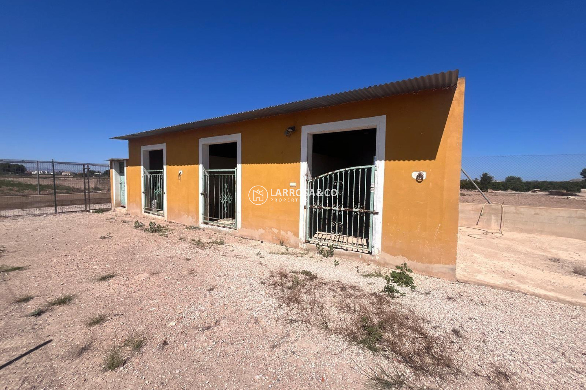 Resale - Finca - Daya Nueva - La Bodega