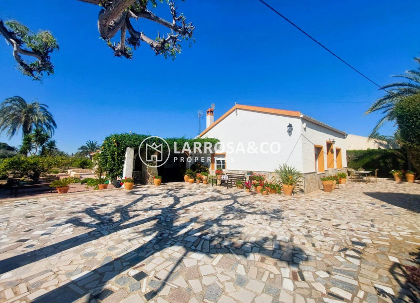Resale - Finca - La Marina - Costa Blanca