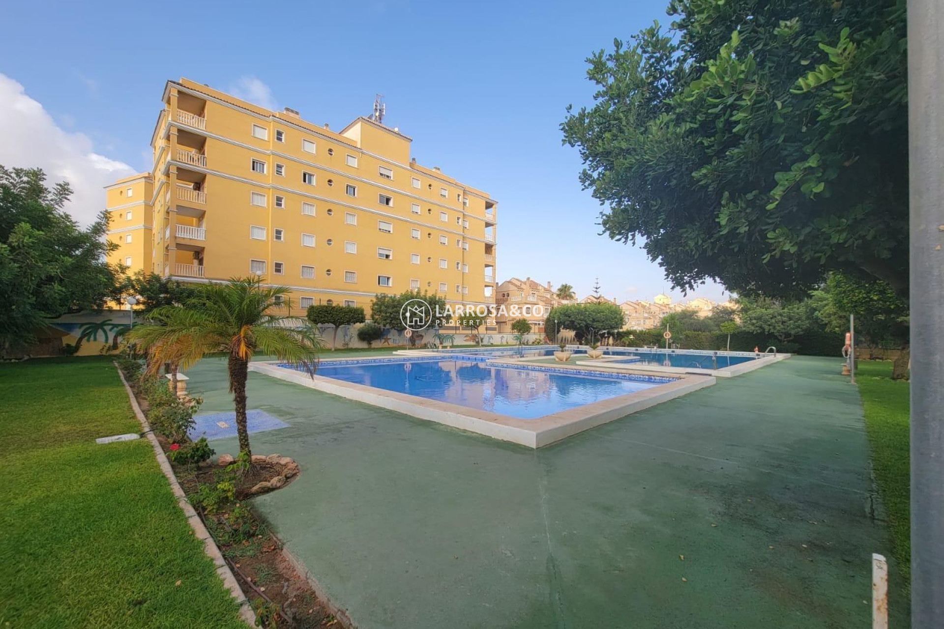 Resale - Ground floor apartment - Torrevieja - Aguas Nuevas