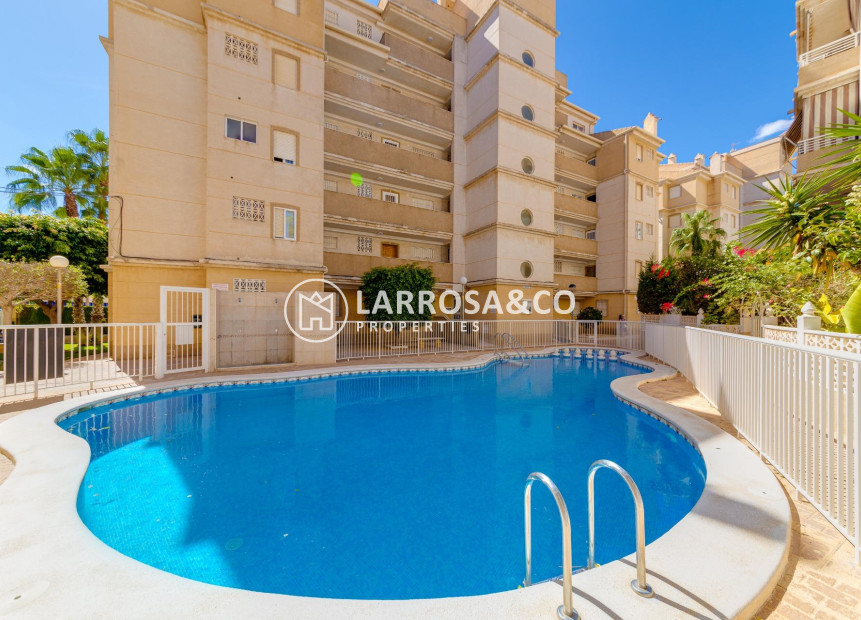 Resale - Ground floor apartment - Torrevieja - Los Locos Beach