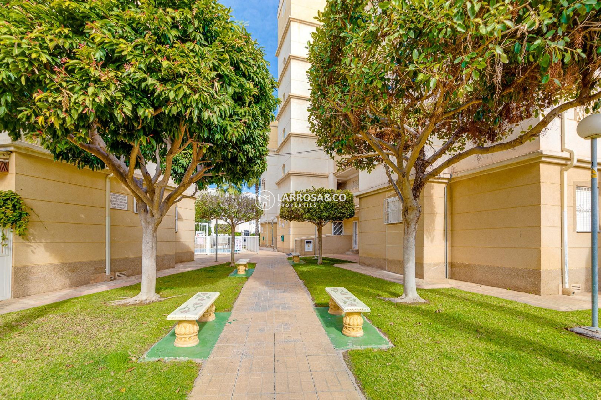 Resale - Ground floor apartment - Torrevieja - Los Locos Beach