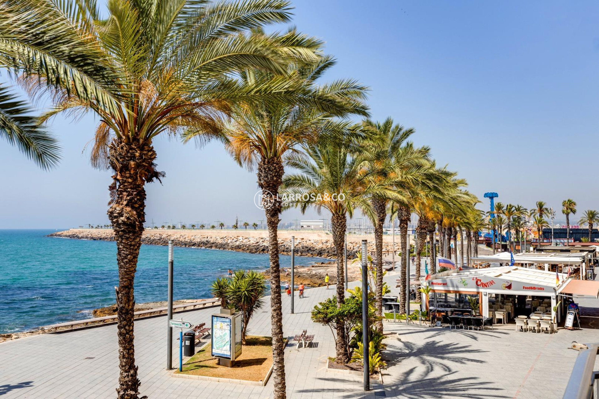 Resale - Ground floor apartment - Torrevieja - Los Locos Beach