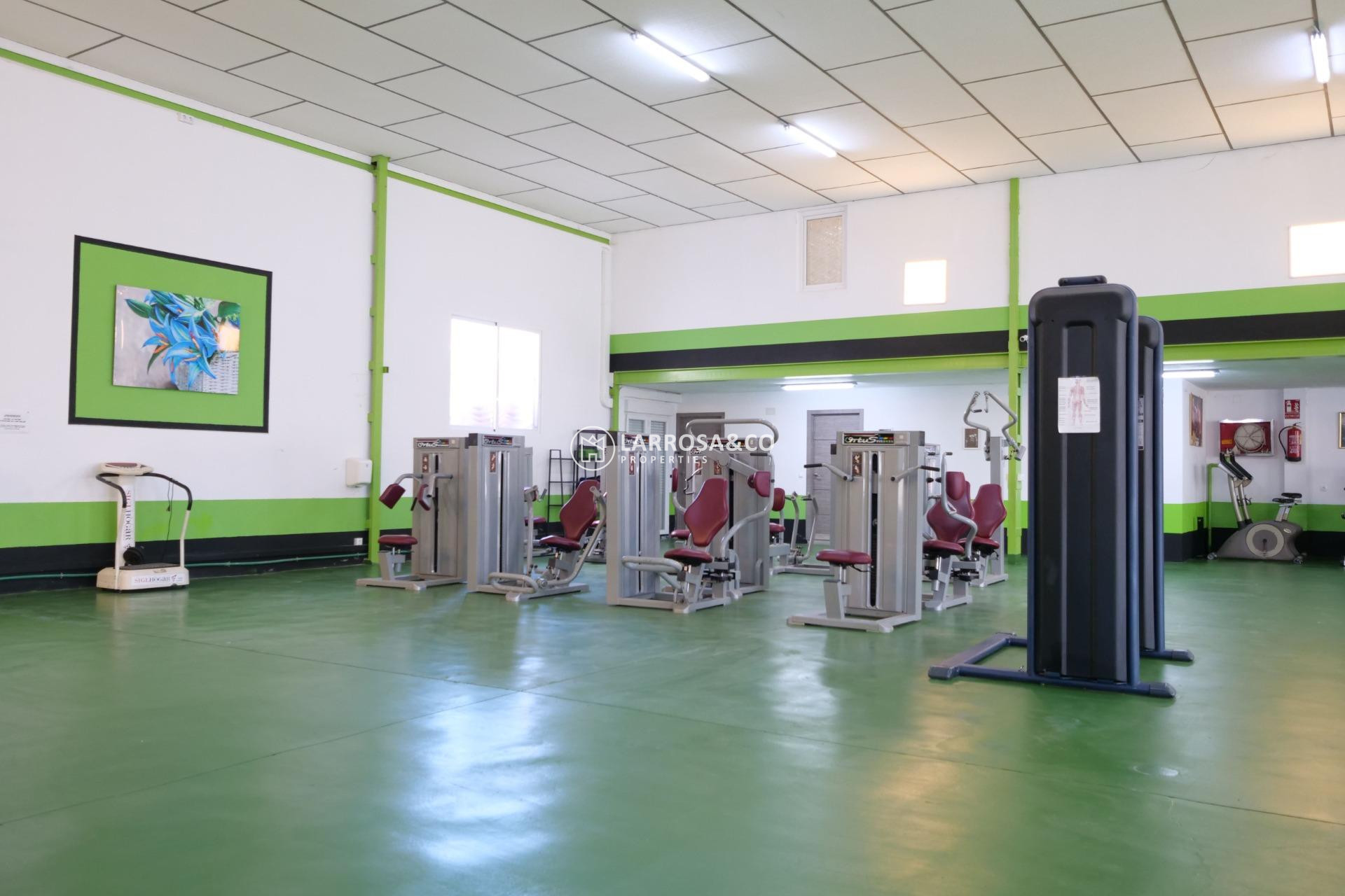 Resale - Industrial Field - Almoradí