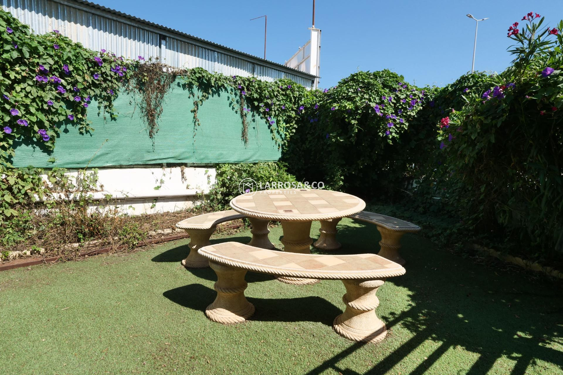 Resale - Industrial Field - Almoradí