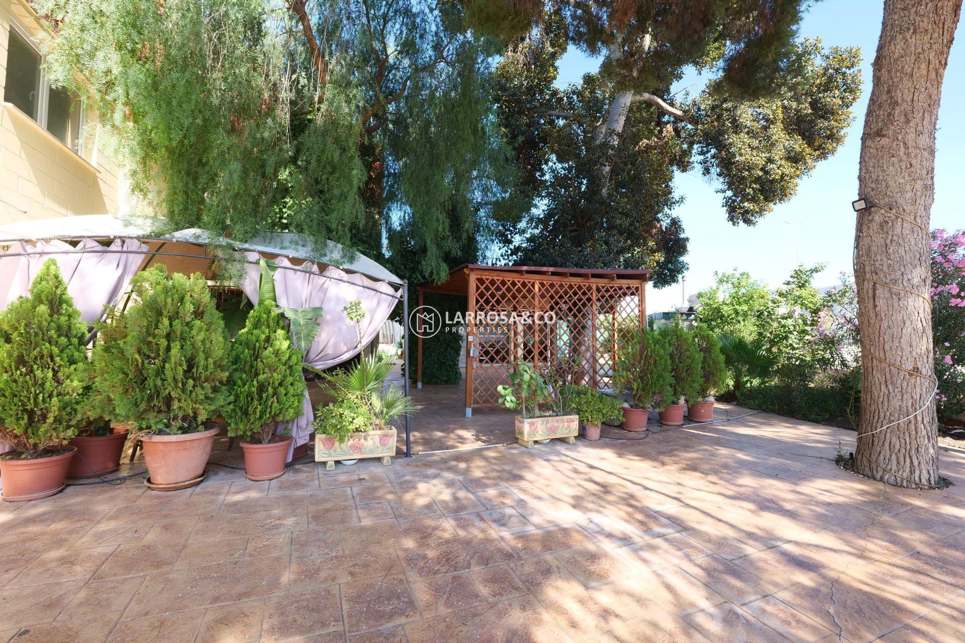 Resale - Industrial Field - Almoradí