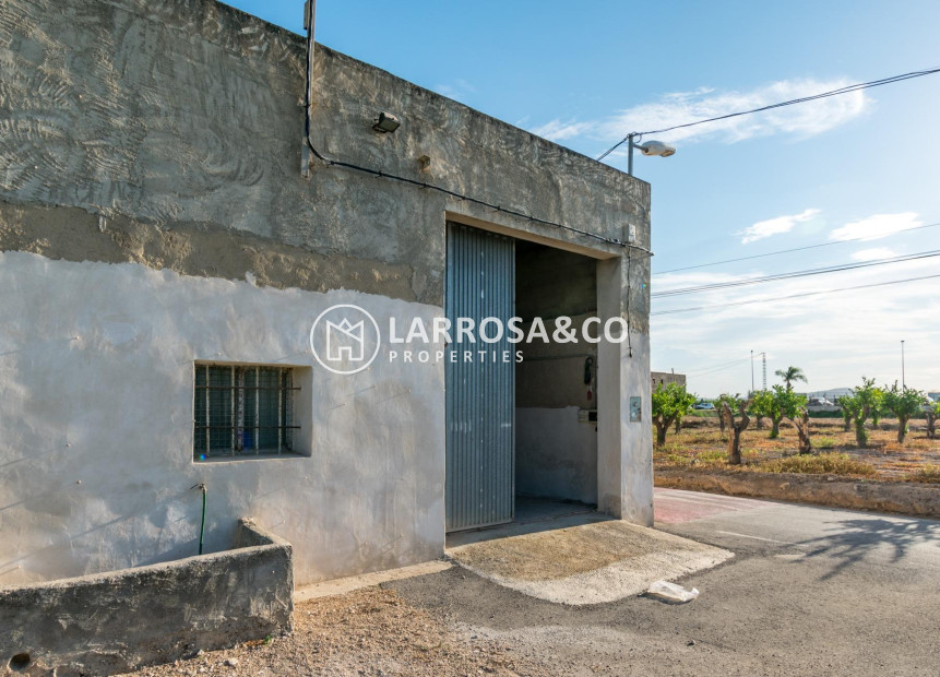 Resale - Industrial Field - Benejúzar - Comunidad valenciana