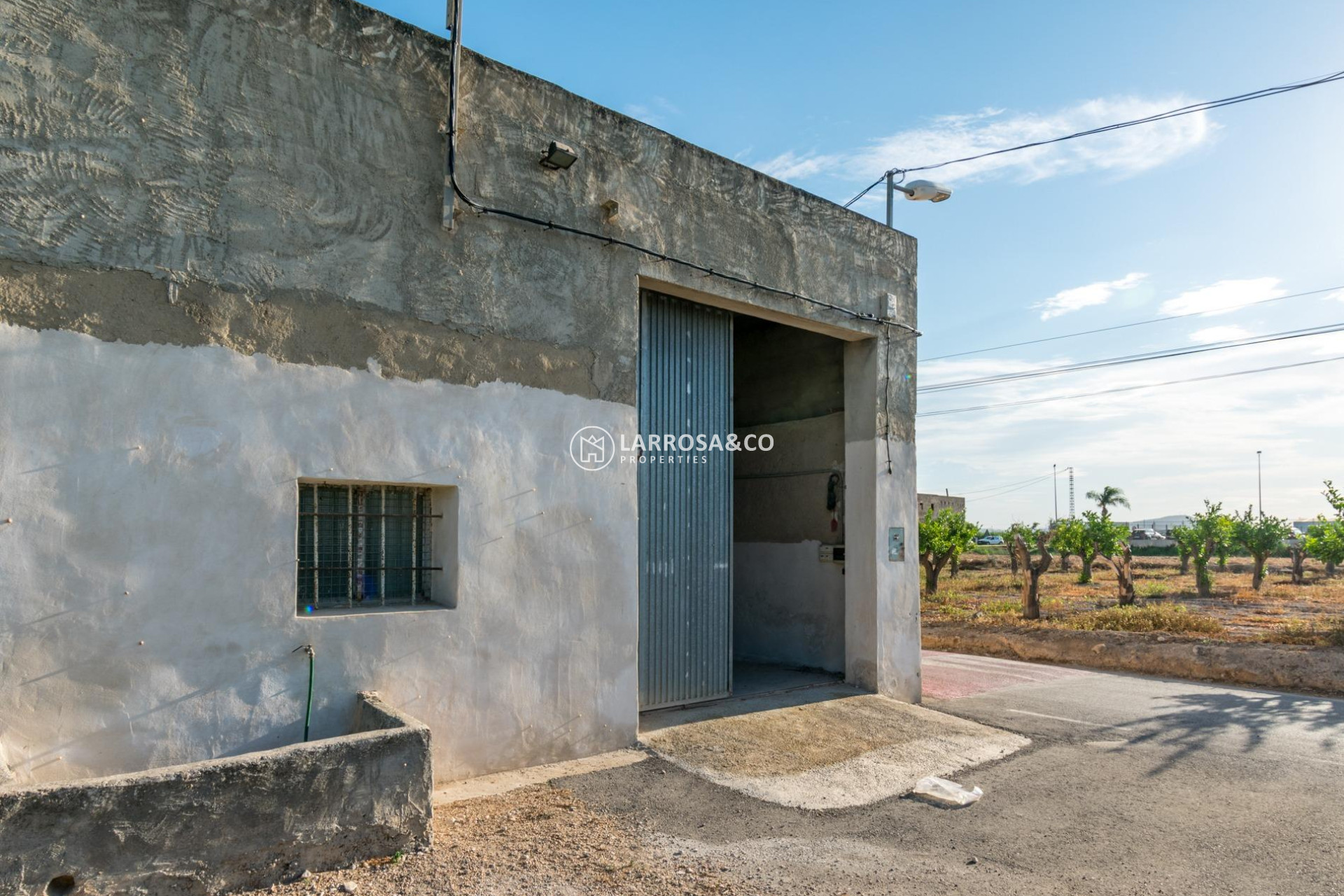 Resale - Industrial Field - Benejúzar - Comunidad valenciana