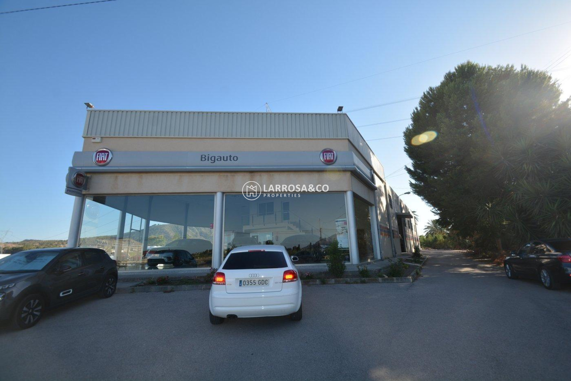 Resale - Industrial Field - Orihuela - Correntías Bajas