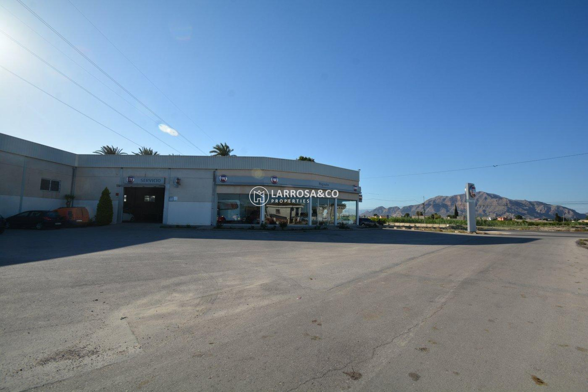 Resale - Industrial Field - Orihuela - Correntías Bajas