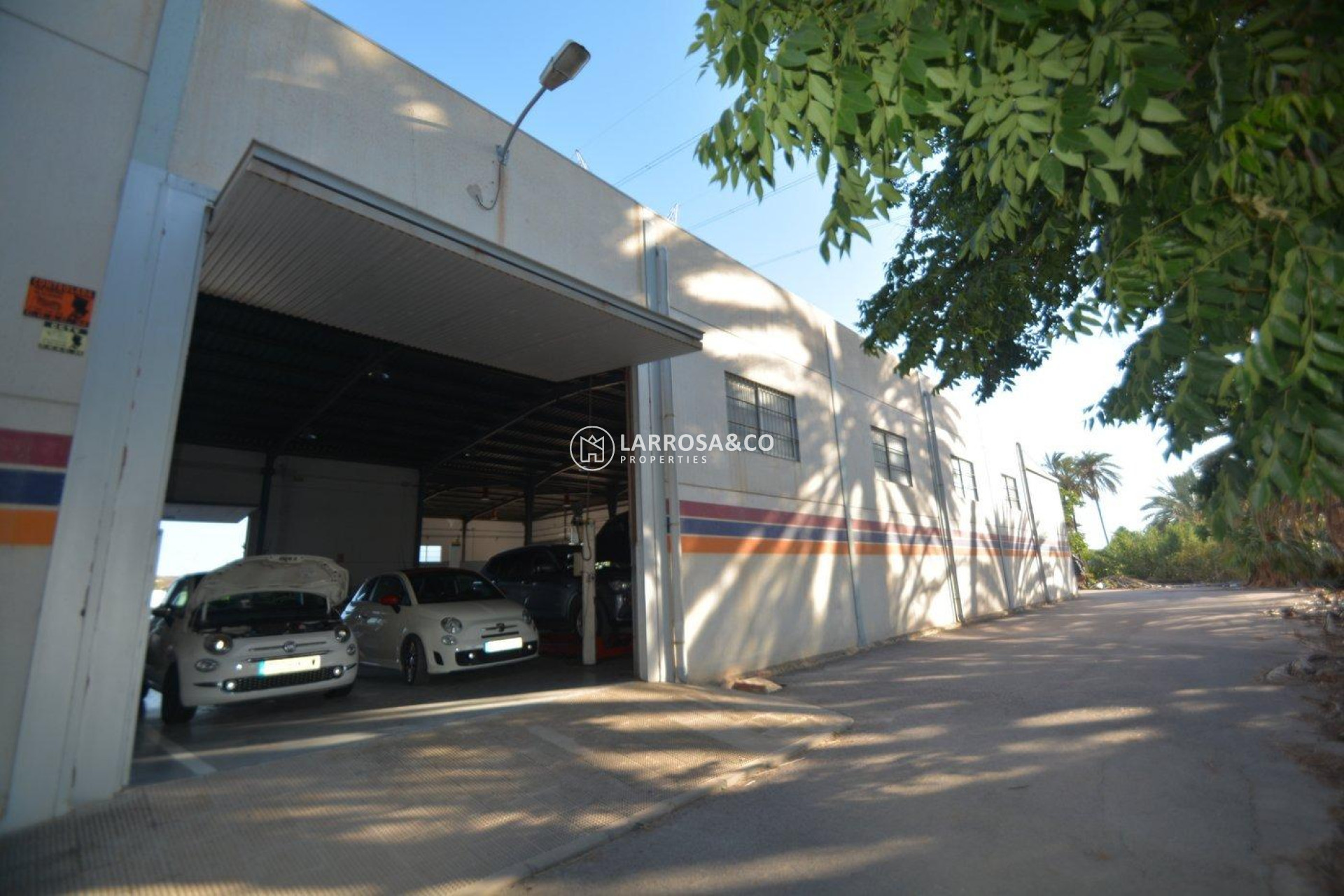 Resale - Industrial Field - Orihuela - Correntías Bajas