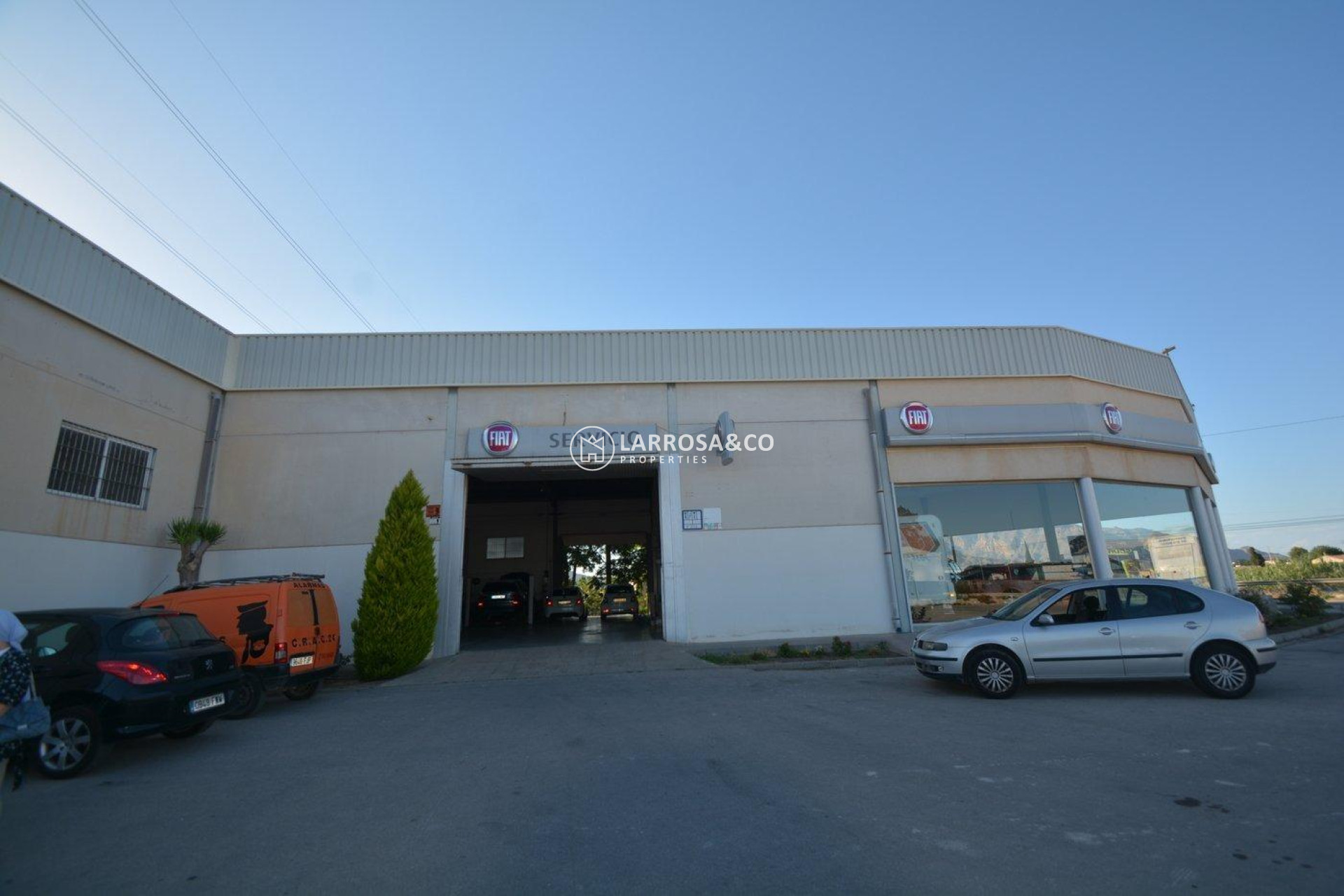 Resale - Industrial Field - Orihuela - Correntías Bajas